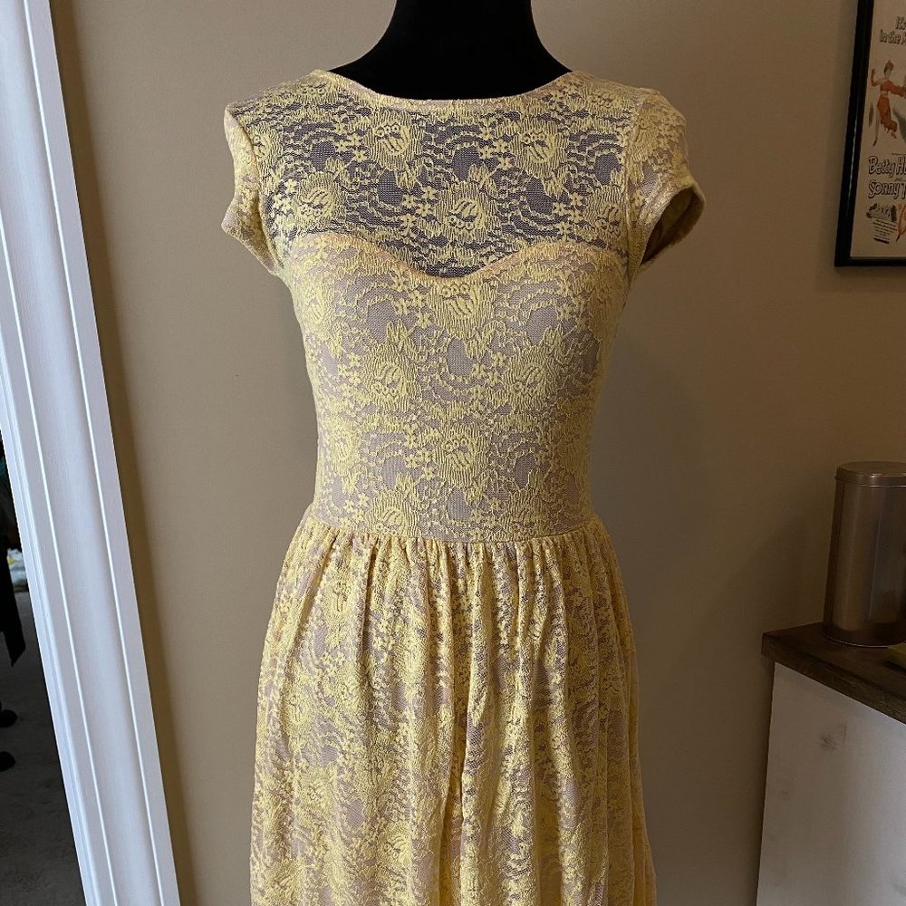 NWOT Finn & clover asymmetrical lace dress